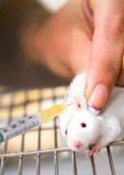 Quando se pensava que uma injeção poderia resolver a obesidade